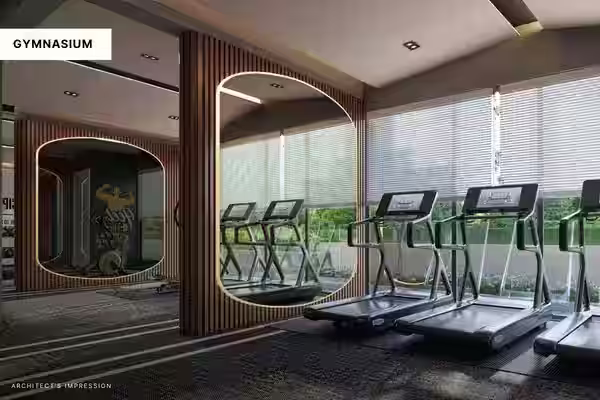 Gallery 06